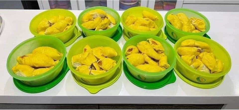 BỘ HỘP BẢO QUẢN THỰC PHẨM DURIAN KEEPER TUPPERWARE (SET 2 HỘP)