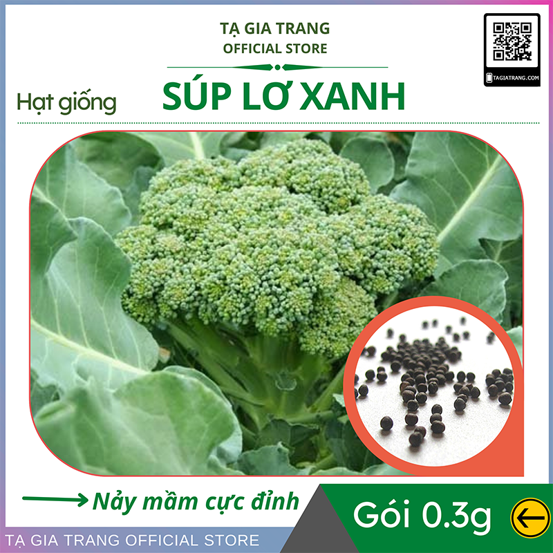 Hạt giống súp lơ xanh