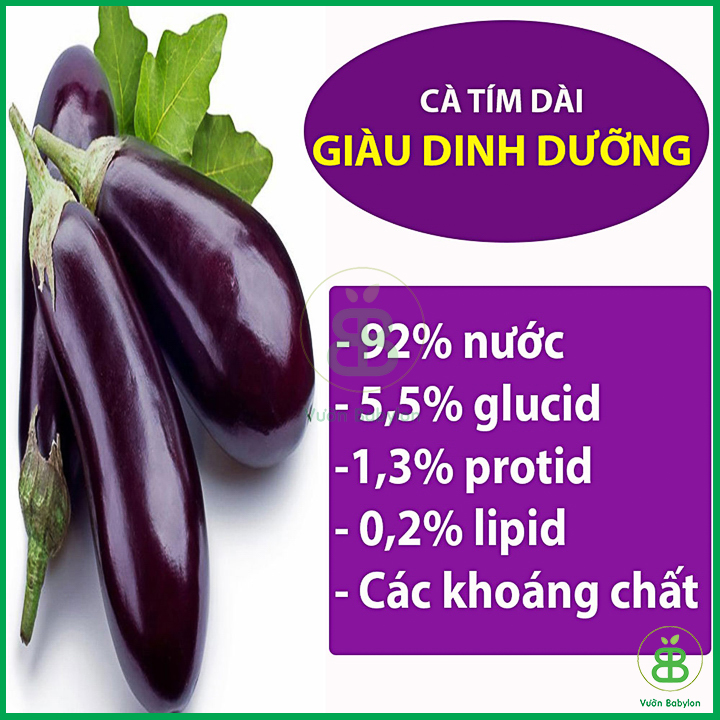 Hạt Giống Cà Tím Trái Dài 0,5G