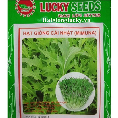 Hạt Giống Rau Cải Nhật Xanh Giàu Dinh Dưỡng - Gói 10gram