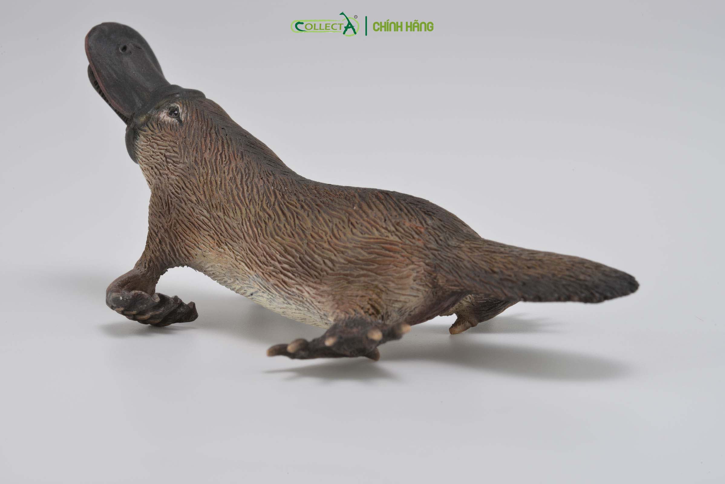 Đồ chơi mô hình động vật CollectA Thú Mỏ Vịt - Platypus