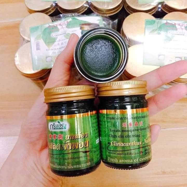 [CHÍNH HÃNG]combo 12  Dầu cù là thơm Green Herb Thái Lan 50gr