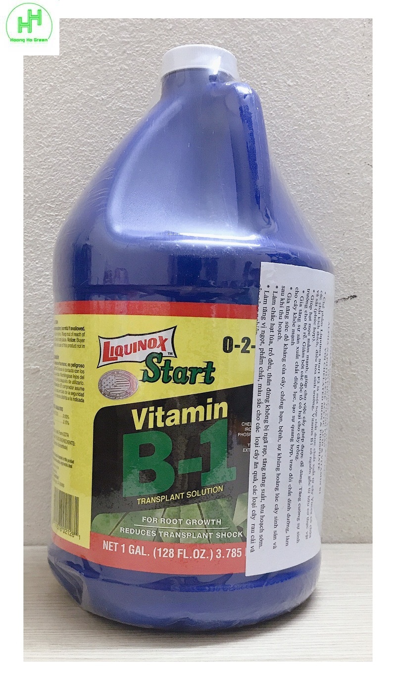 Phân bón kích ra rễ start vitamin b1-mỹ 4 lít
