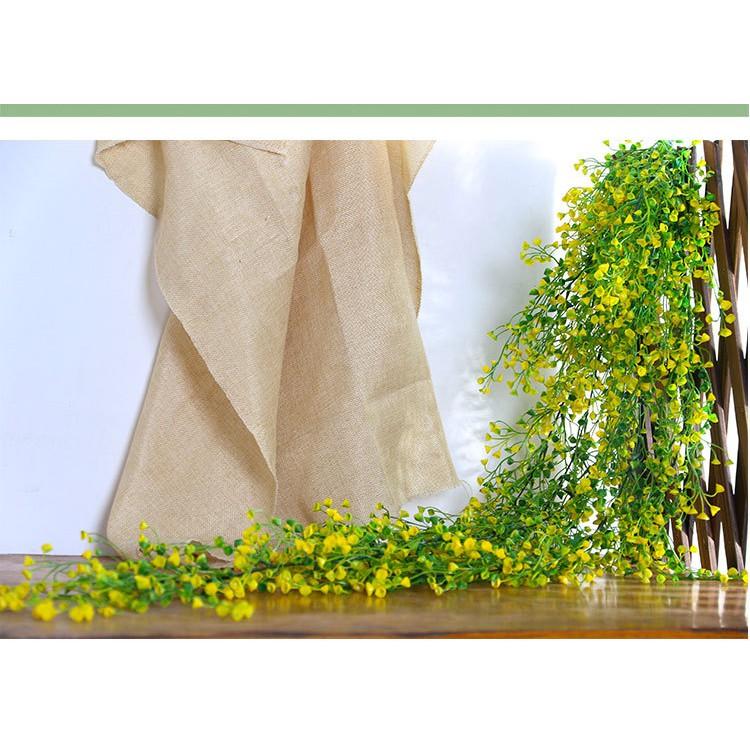 (Loại 1) Dây leo rong biển chiều dài 1 chùm 115cm
