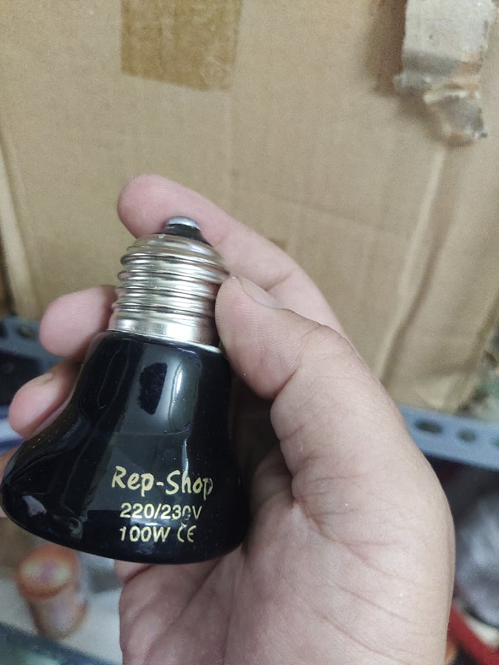 [HCM]Đèn sưởi sứ cho vật nuôi.