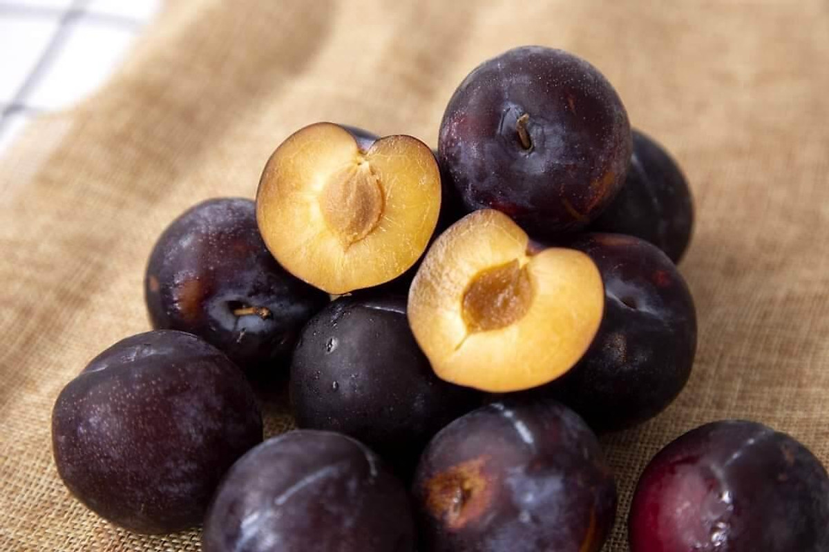 Cây giống mận úc đen siêu sớm