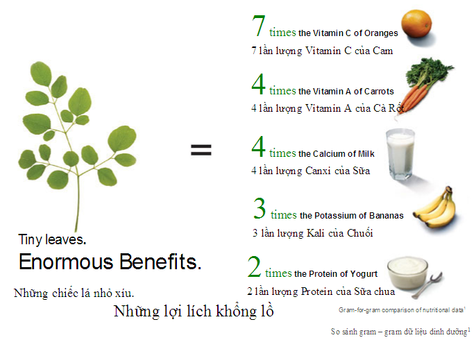 [HCM]Mì gói moringa- mì chùm ngây (30 gói/ thùng)