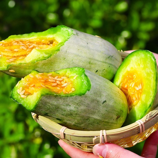 Hạt giống dưa lê chuối