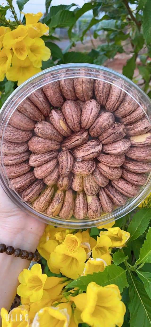 Hạt Điều rang muối nguyên hạt loại to
