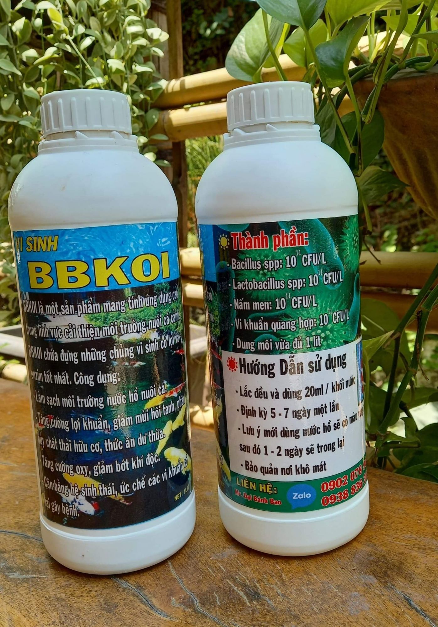 [HCM]VI SINH HỒ CÁ BB KOI