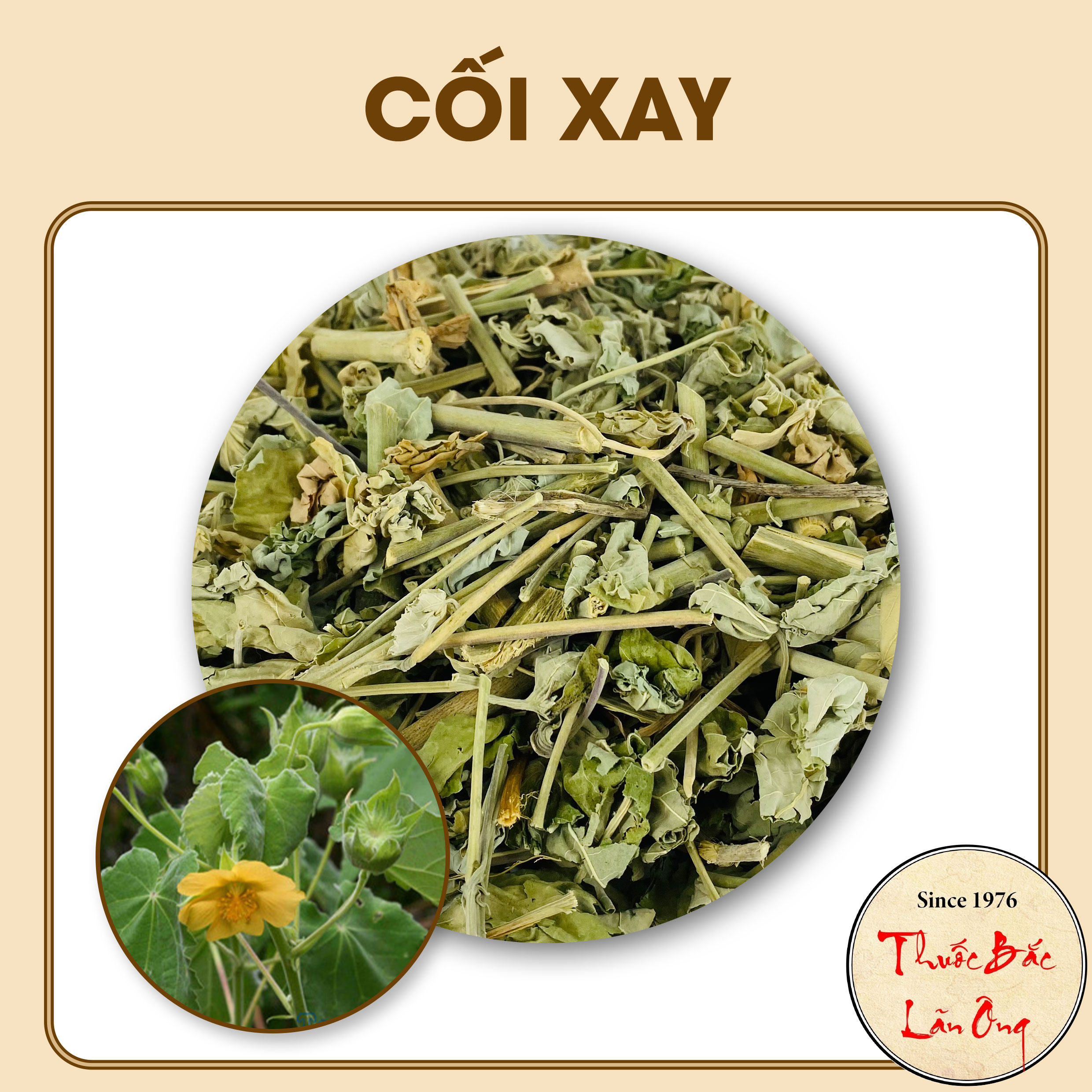Cây cối xay 1kg