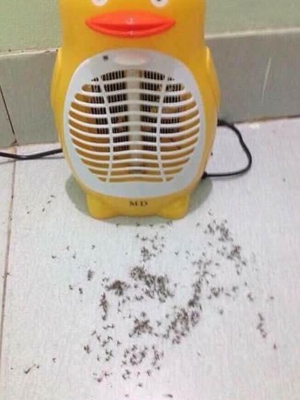 ĐÈN BẮT MUỖI HÌNH THÚ CÓ QUẠT HÚT MUỖI