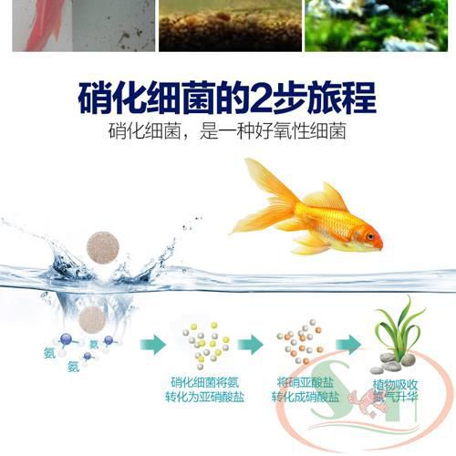 Vi sinh viên nén Sunsun Nitrifying Bacteria Tablet xử lý khử độc làm trong nước bể cá tép thủy sinh