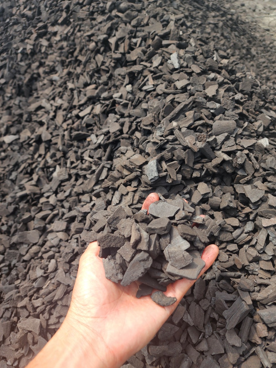 0.5 kg Than Củi Trồng Lan Đã Qua Xử Lý (nhiều kích thước)