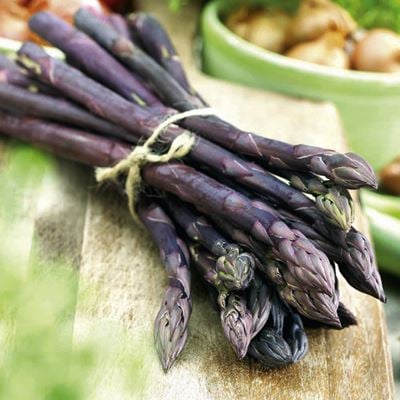 Hạt Giống Măng Tây Tím 10 hạt