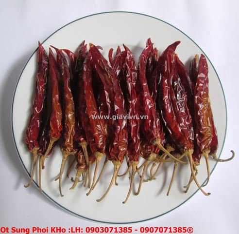 [HCM]ớt sừng trái phơi khô cao cấp 100gram
