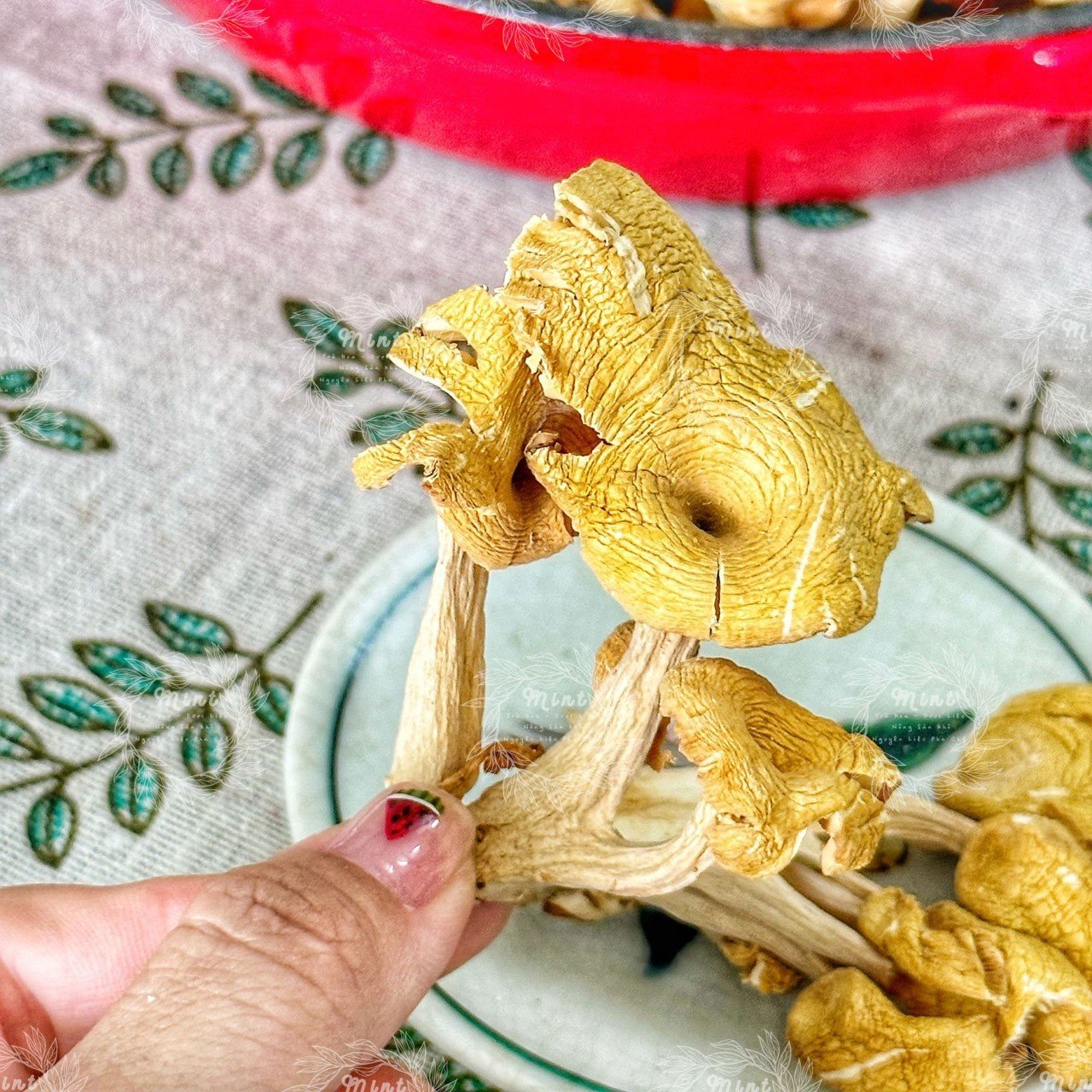 Nấm Mỡ Gà Sấy Khô (Nấm Sò Vàng - Nấm Bào Ngư Vàng - Tamogitake) - Túi 100gr