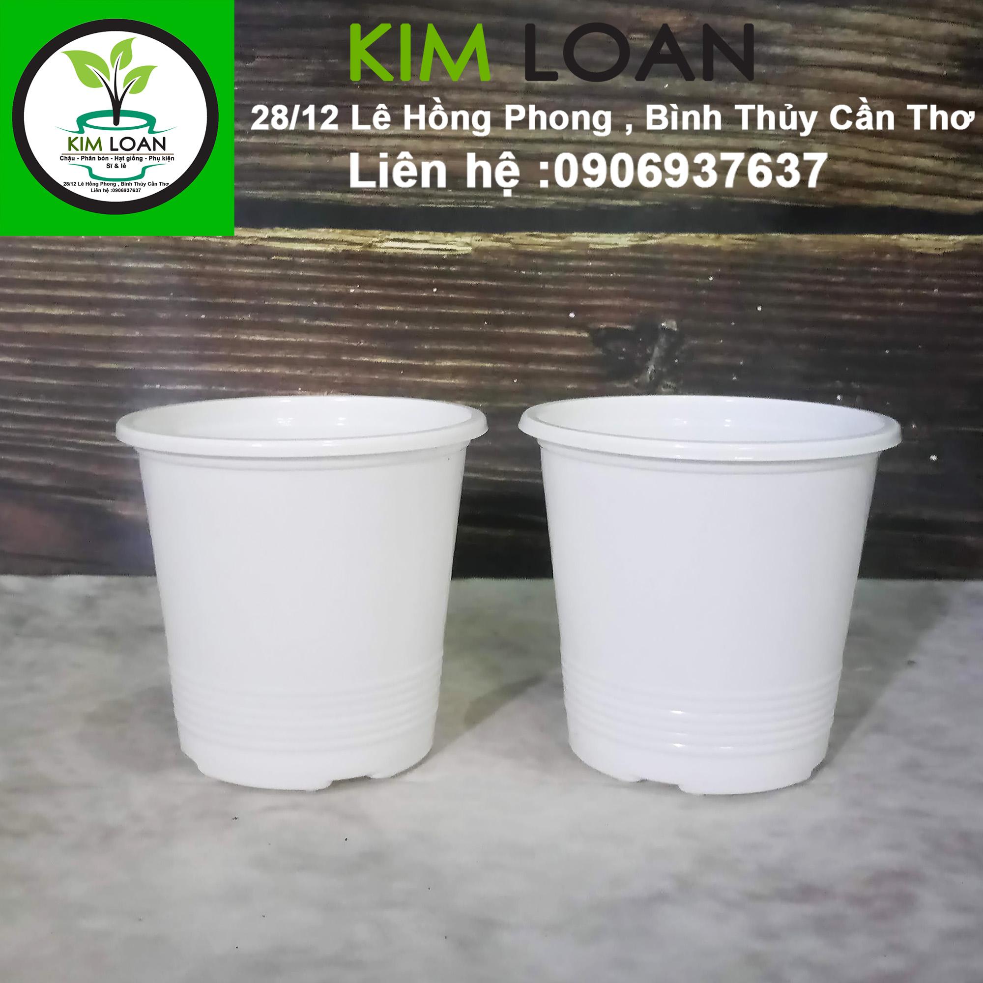 Combo 50 chậu nhựa tròn trắng chuyên dùng để ươm cây 10x9cm