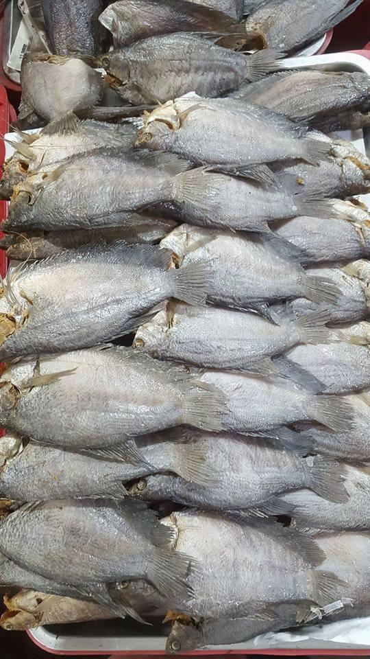 KHÔ CÁ SẶC