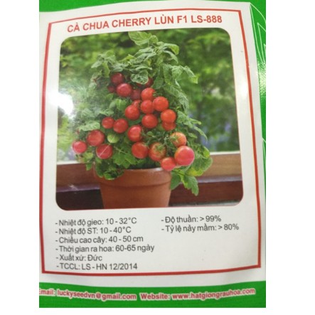 Hạt giống Cà Chua Cherry Lùn F1