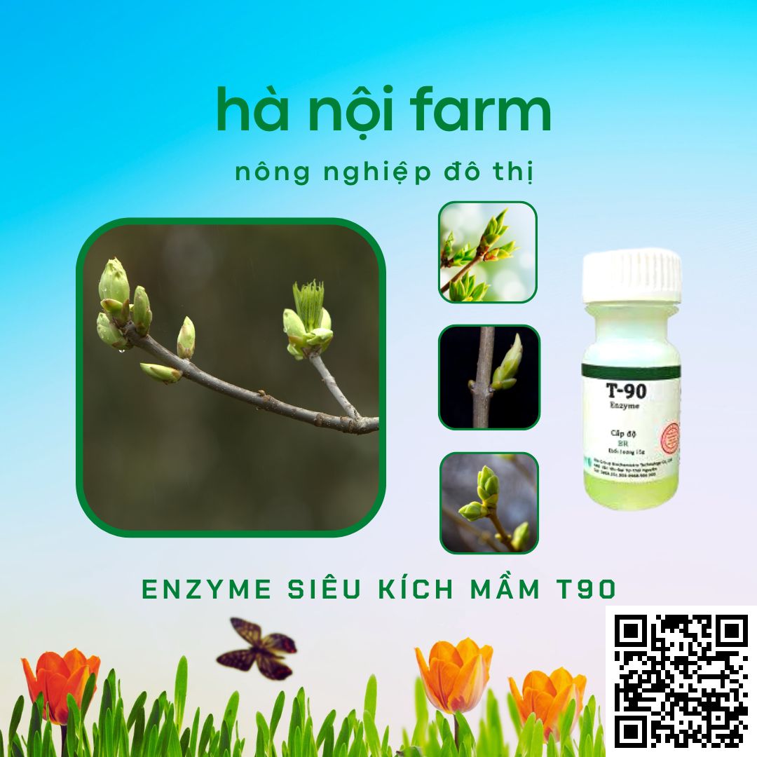Kích mầm T90 chính hãng, kích mầm theo ý muốn, bật mầm tua tủa, cam kết hiệu quả 100%