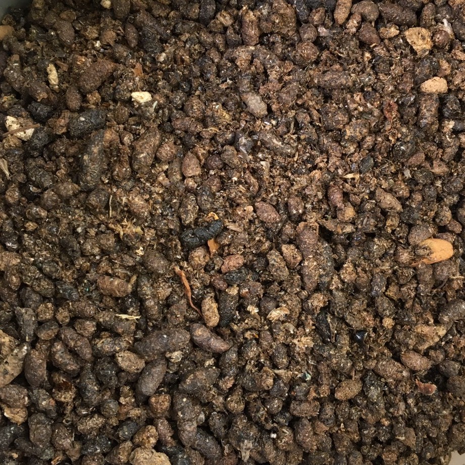 Túi 500gr phân dơi nguyên thủy phơi khô - phân dơi nguyên chât phơi khô