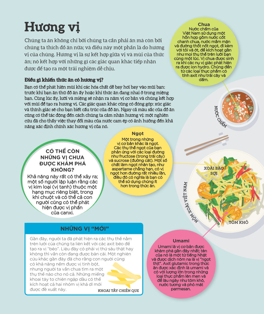 Hodico - sách How Food Works - Hiểu Hết Về Thức Ăn