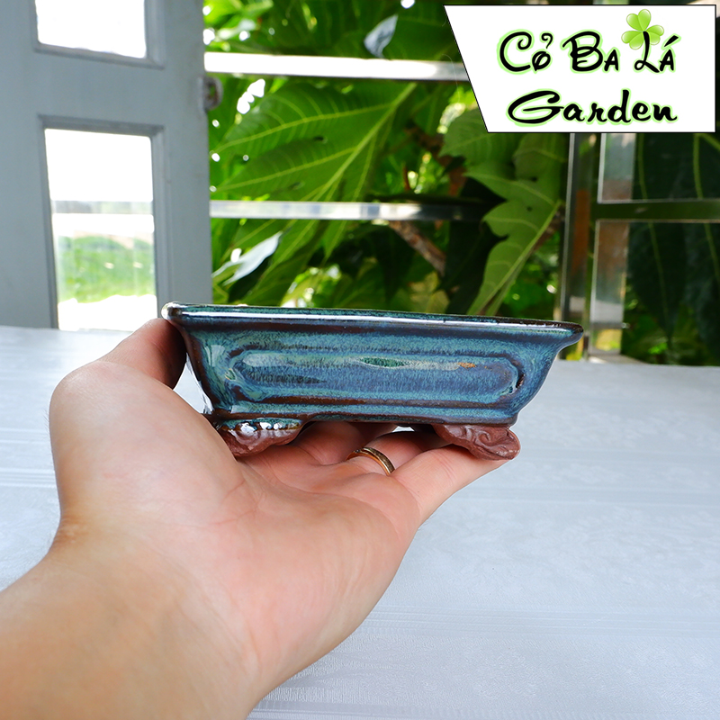 chậu bonsai mini hình chữ nhật có chân