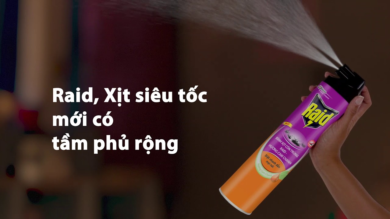 Bình Xịt Côn Trùng Raid 600ml - Bình Xịt Muỗi Xịt Gián xịt kiến