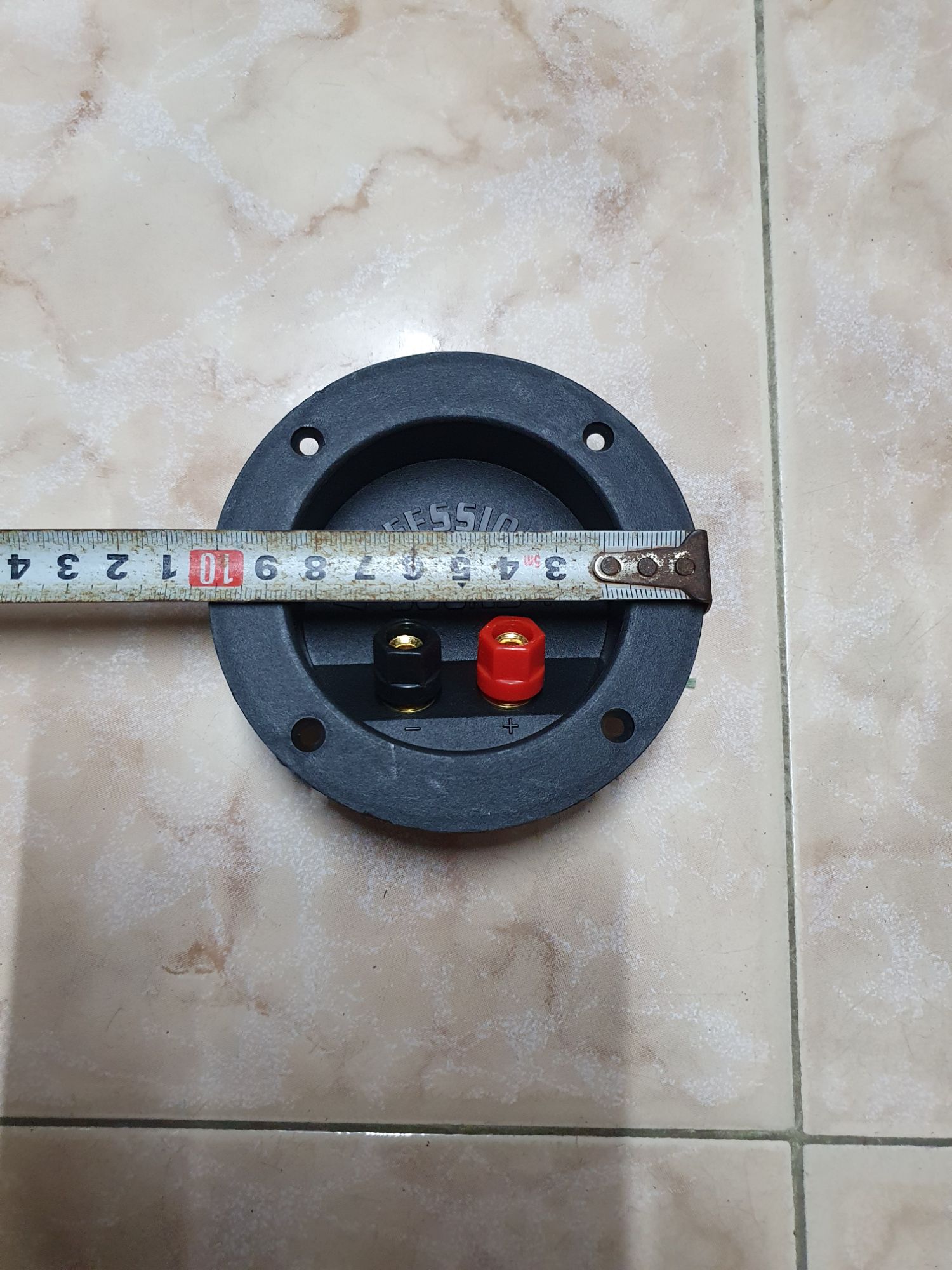 2 chiếc trạm loa tròn to