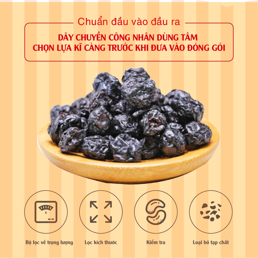 Combo Ưu Đãi - Việt Quất Khô Dan D Pak I Dried Blueberries I 100g