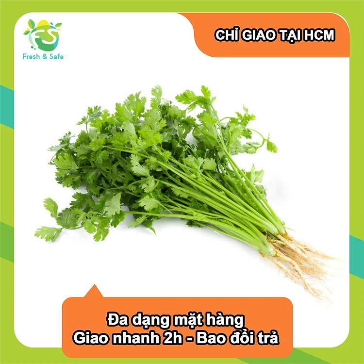 [Chỉ Giao HCM] Ngò Rí - 100g