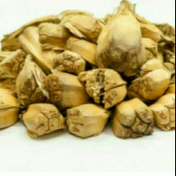 1kg quả dứa rừng