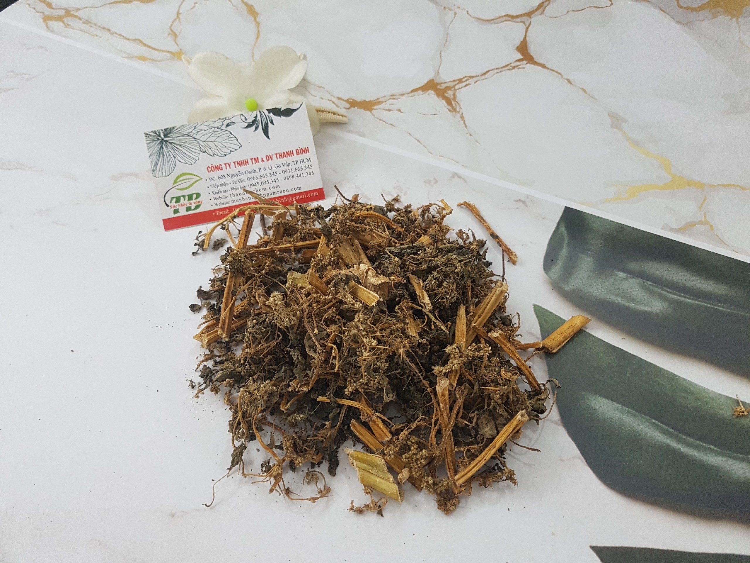 Cây Dền Gai Khô 1KG - Công Ty Thảo Dược Thanh Bình