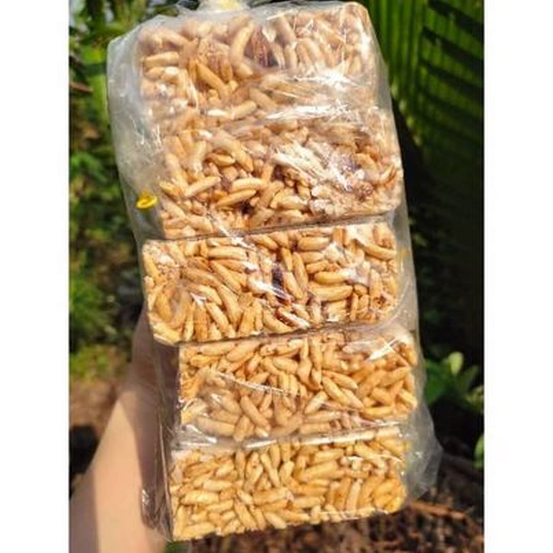 Bánh cốm gạo dừa - siêu ngon 5 cái