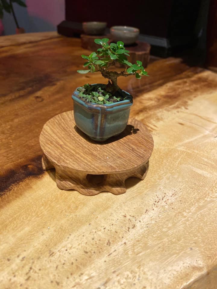 [HCM]Đôn Gỗ Mini