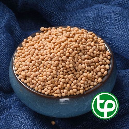 Bạch giới tử khô 1kg - Thảo Dược Tấn Phát