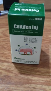 freeship+quà tặng xylanh+kim tiêm) Ceftifen inj 100 ml kháng sinh thế hệ mới, chống nhờn thuốc luu luyen abc CEF01, đặc trị hen thumbnail