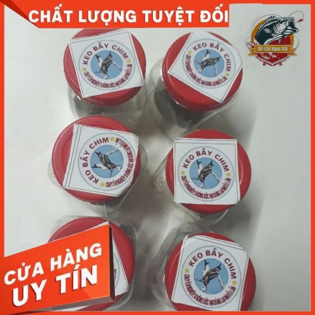 Combo 2 hộp keo bẫy chim chào mao sẻ ri các loại chim