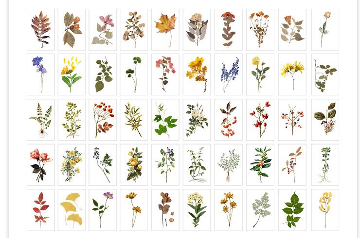 Sticker đóng cuốn dạng cổ điển 50 tấm