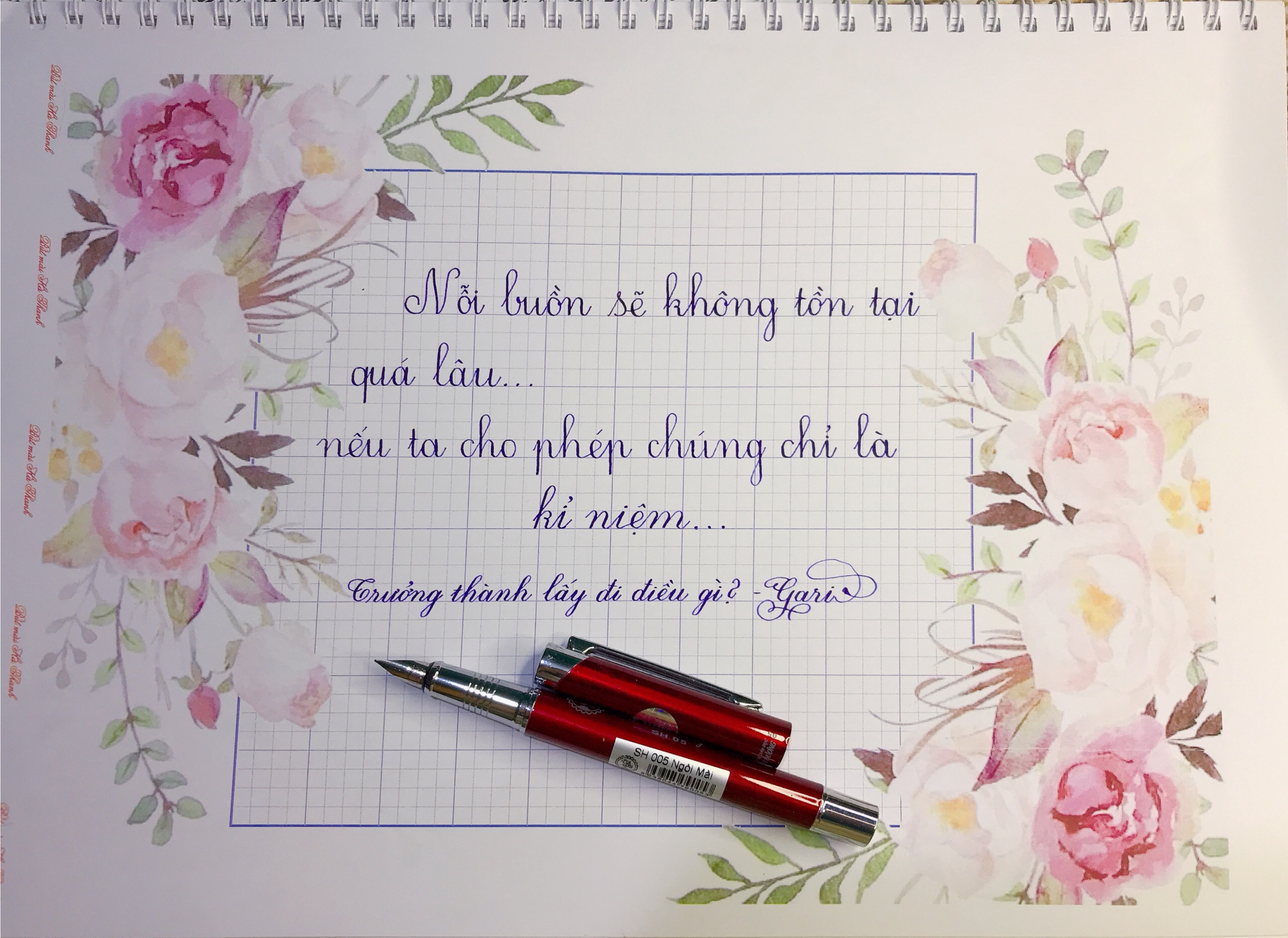 Bút máy Thầy Ánh SH005 ngòi mài thanh đậm