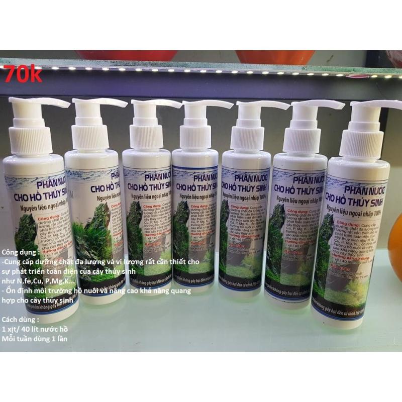 Phân Nước cho ráy, dương sỉ, bucep