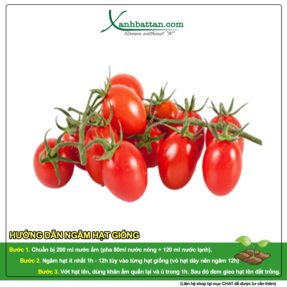 Hạt Giống Cà Chua Bi Phú Nông Gói 0.1 Gram