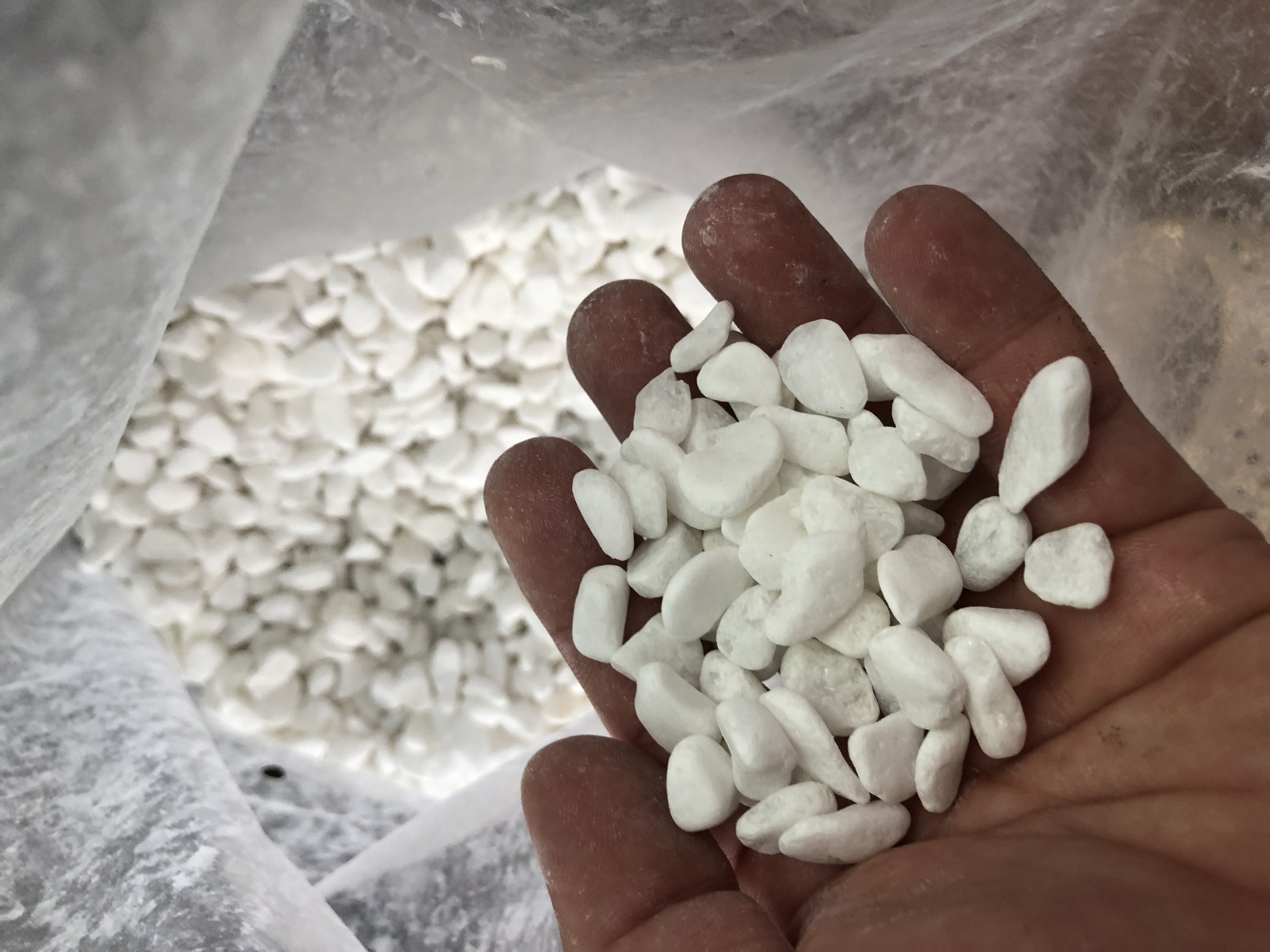 5kg of White Stone Gravel for Garden and Interior Plant Decoration