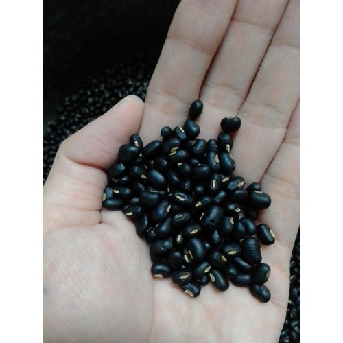 1kg đậu đen