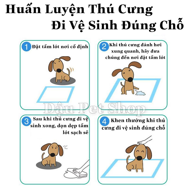 Combo 3 tả lót chuồng cho thú cưng