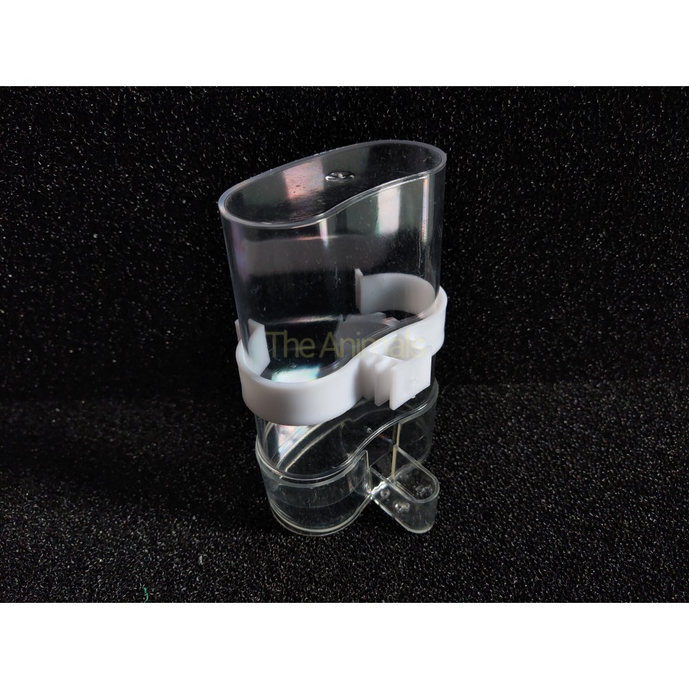 Cóng nước treo lồng tự động mica cho chim các loại chim