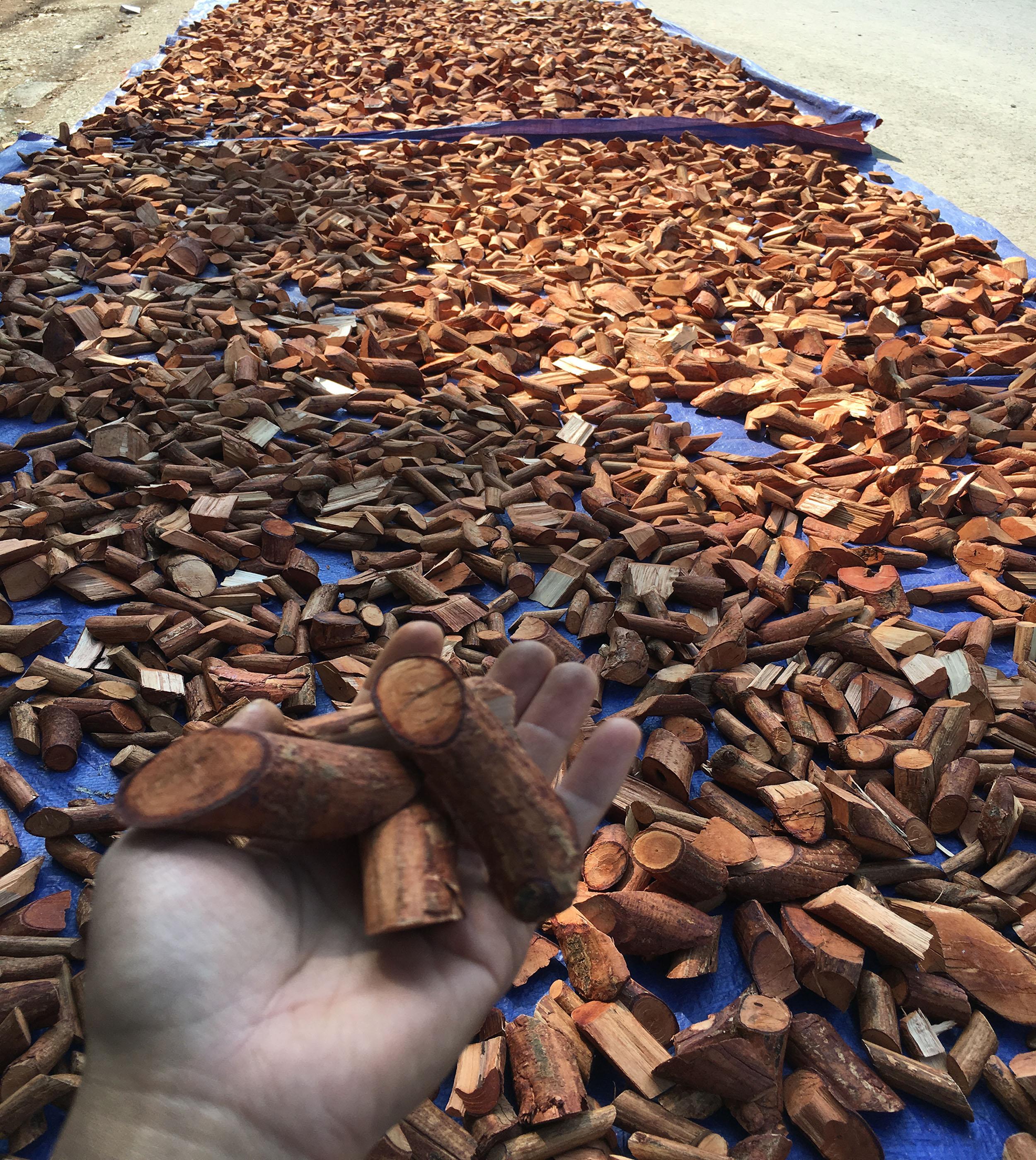 Mú Từn -CÙ BOONG NẬU 1kg