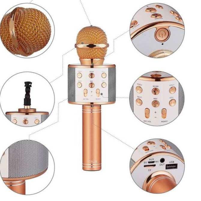 Mic Karaok WS 858 - Mic Bluetooth Không Dây Kèm Sạc