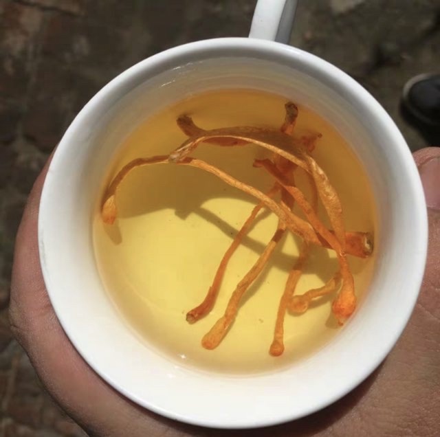 Đông Trùng Hạ Thảo Khô 100G